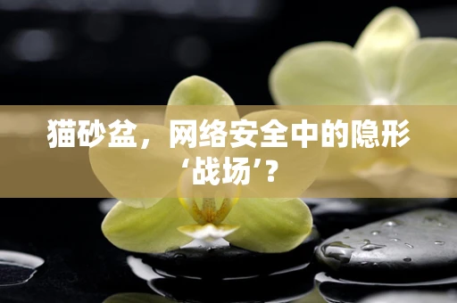 猫砂盆，网络安全中的隐形‘战场’？