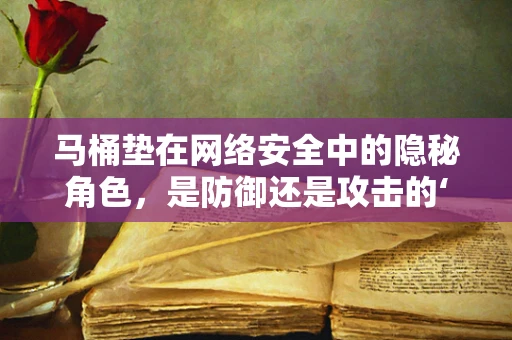 马桶垫在网络安全中的隐秘角色，是防御还是攻击的‘垫脚石’？