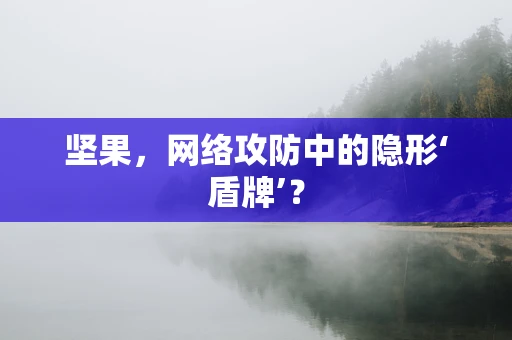 坚果，网络攻防中的隐形‘盾牌’？