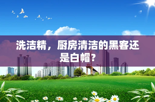 洗洁精，厨房清洁的黑客还是白帽？