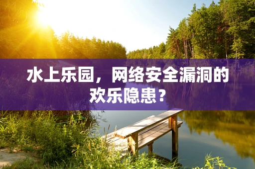 水上乐园，网络安全漏洞的欢乐隐患？