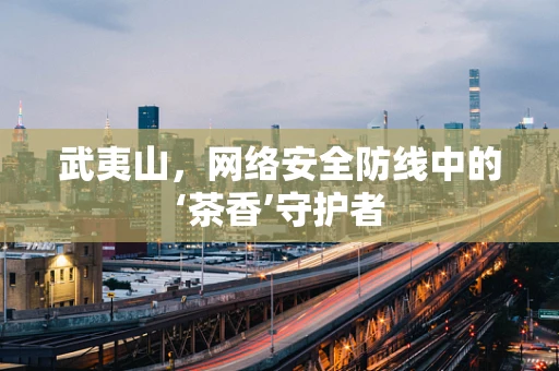 武夷山，网络安全防线中的‘茶香’守护者