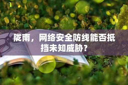 陇南，网络安全防线能否抵挡未知威胁？