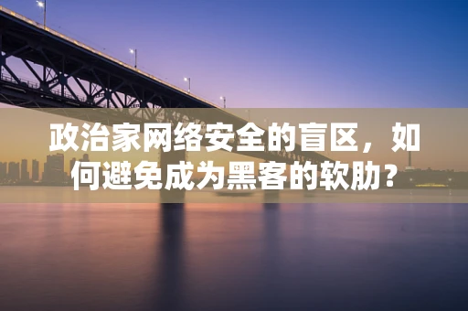 政治家网络安全的盲区，如何避免成为黑客的软肋？