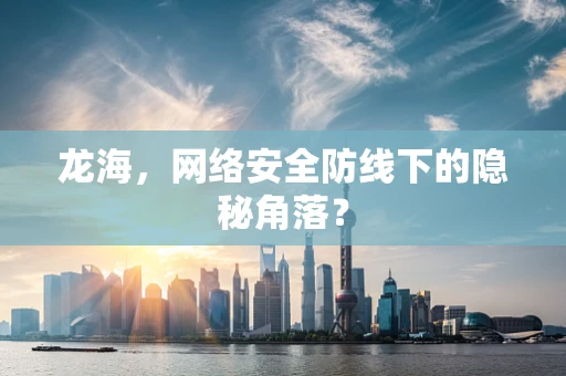 龙海，网络安全防线下的隐秘角落？