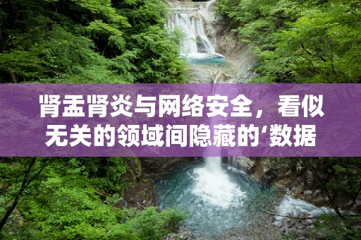 肾盂肾炎与网络安全，看似无关的领域间隐藏的‘数据流’风险？