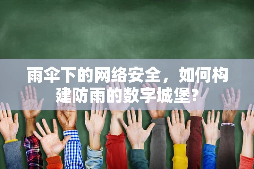 雨伞下的网络安全，如何构建防雨的数字城堡？
