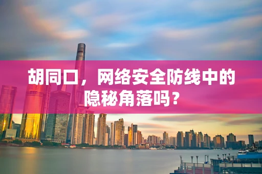 胡同口，网络安全防线中的隐秘角落吗？
