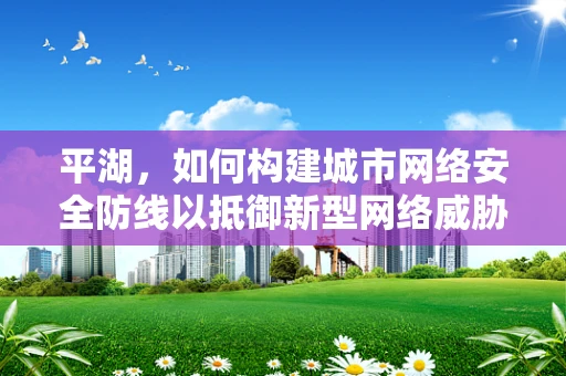 平湖，如何构建城市网络安全防线以抵御新型网络威胁？