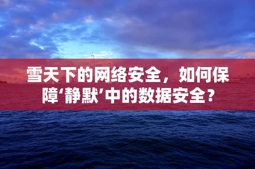 雪天下的网络安全，如何保障‘静默’中的数据安全？