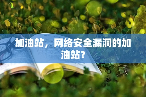 加油站，网络安全漏洞的加油站？