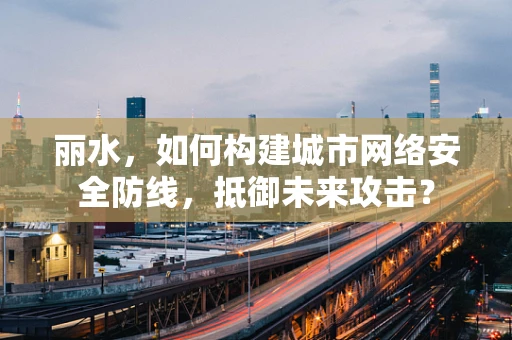 丽水，如何构建城市网络安全防线，抵御未来攻击？