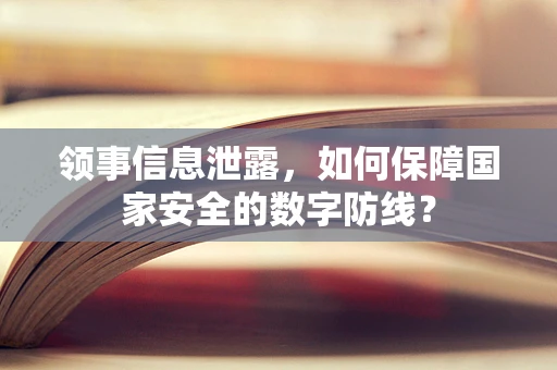领事信息泄露，如何保障国家安全的数字防线？