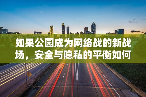 如果公园成为网络战的新战场，安全与隐私的平衡如何维持？