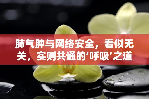 肺气肿与网络安全，看似无关，实则共通的‘呼吸’之道