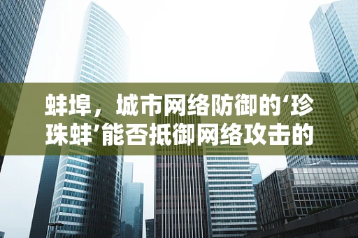 蚌埠，城市网络防御的‘珍珠蚌’能否抵御网络攻击的‘沙粒’？