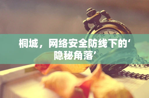 桐城，网络安全防线下的‘隐秘角落’