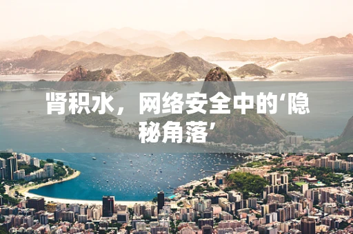 肾积水，网络安全中的‘隐秘角落’