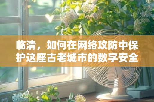 临清，如何在网络攻防中保护这座古老城市的数字安全？