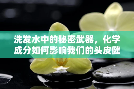 洗发水中的秘密武器，化学成分如何影响我们的头皮健康？