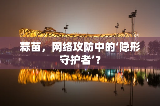 蒜苗，网络攻防中的‘隐形守护者’？