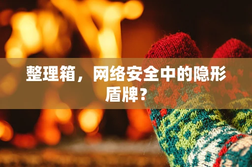 整理箱，网络安全中的隐形盾牌？