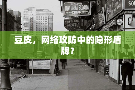 豆皮，网络攻防中的隐形盾牌？