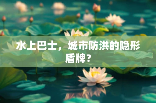 水上巴士，城市防洪的隐形盾牌？