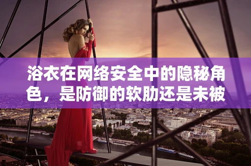 浴衣在网络安全中的隐秘角色，是防御的软肋还是未被发掘的防线？