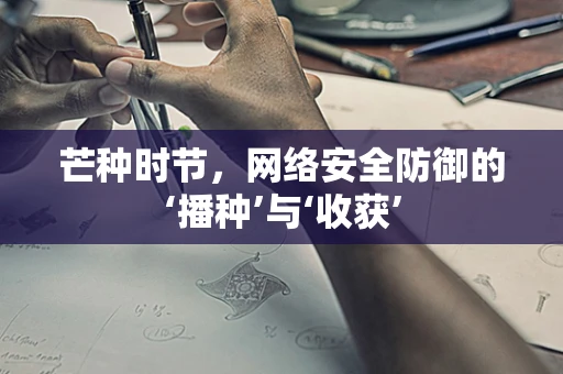 芒种时节，网络安全防御的‘播种’与‘收获’