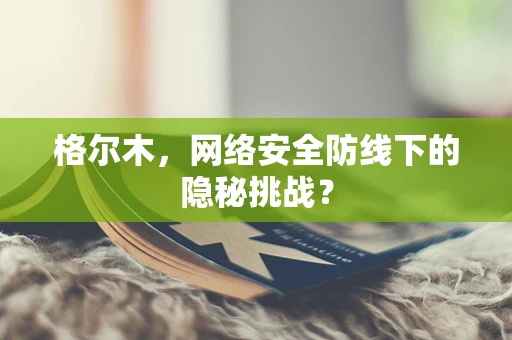 格尔木，网络安全防线下的隐秘挑战？