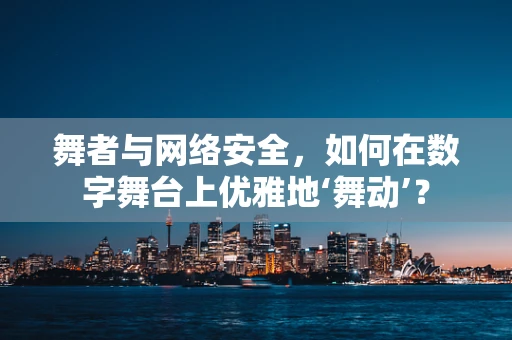 舞者与网络安全，如何在数字舞台上优雅地‘舞动’？