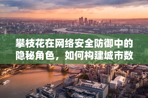攀枝花在网络安全防御中的隐秘角色，如何构建城市数字防线？