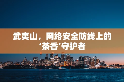 武夷山，网络安全防线上的‘茶香’守护者