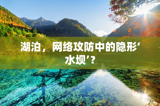 湖泊，网络攻防中的隐形‘水坝’？