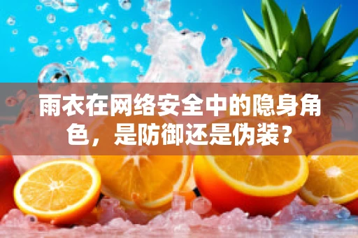 雨衣在网络安全中的隐身角色，是防御还是伪装？