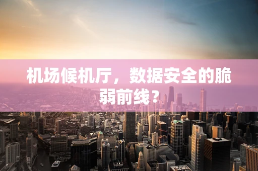 机场候机厅，数据安全的脆弱前线？