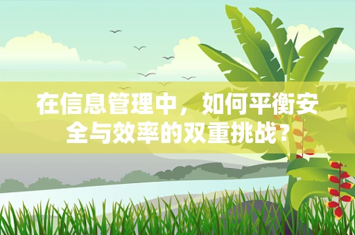 在信息管理中，如何平衡安全与效率的双重挑战？