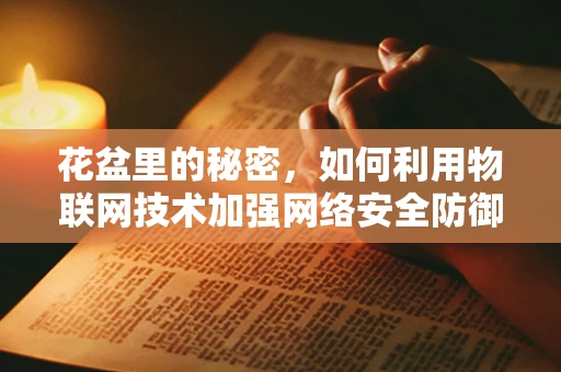 花盆里的秘密，如何利用物联网技术加强网络安全防御？