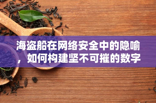海盗船在网络安全中的隐喻，如何构建坚不可摧的数字防线？
