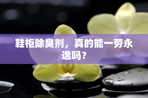 鞋柜除臭剂，真的能一劳永逸吗？