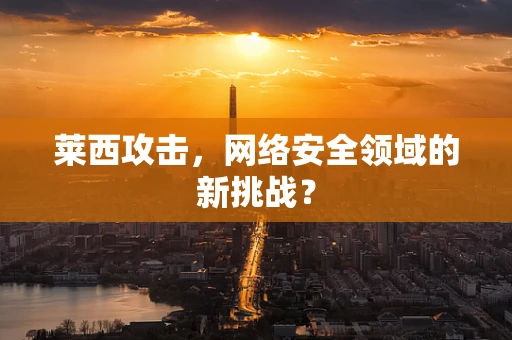 莱西攻击，网络安全领域的新挑战？