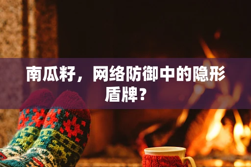 南瓜籽，网络防御中的隐形盾牌？