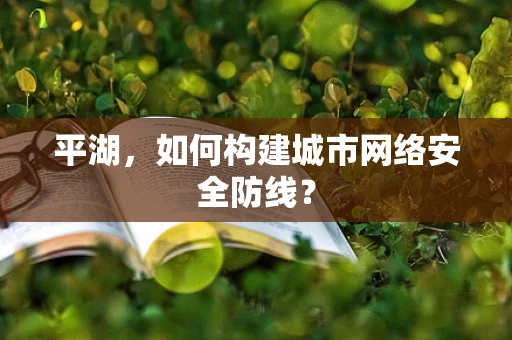 平湖，如何构建城市网络安全防线？