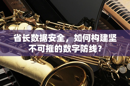 省长数据安全，如何构建坚不可摧的数字防线？