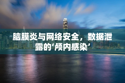 脑膜炎与网络安全，数据泄露的‘颅内感染’