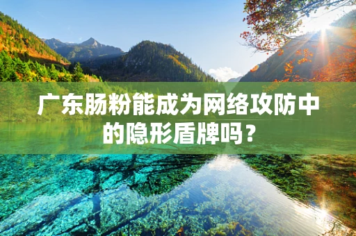 广东肠粉能成为网络攻防中的隐形盾牌吗？