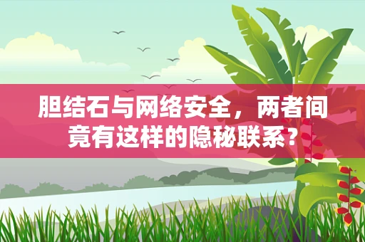 胆结石与网络安全，两者间竟有这样的隐秘联系？