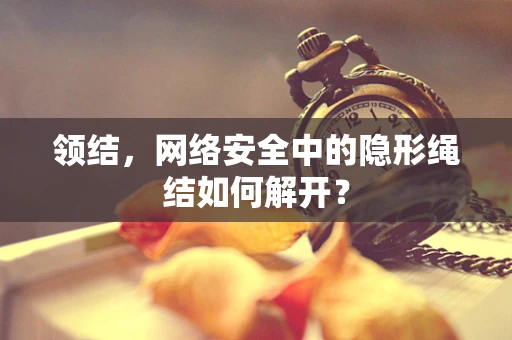 领结，网络安全中的隐形绳结如何解开？