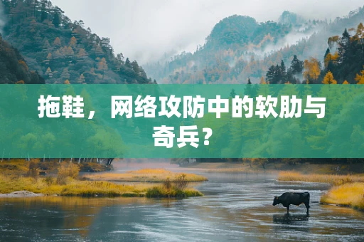 拖鞋，网络攻防中的软肋与奇兵？